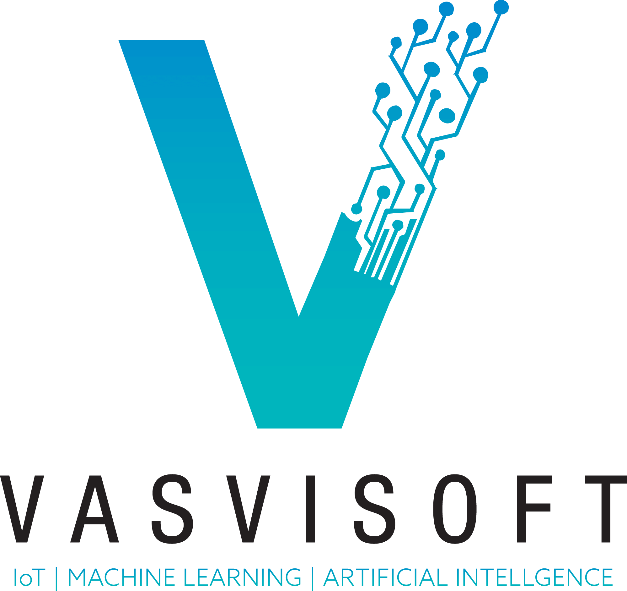 vasvisoft logo